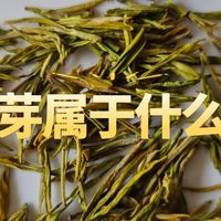黄金芽属于什么茶？想要喝买哪些品牌比较不错？