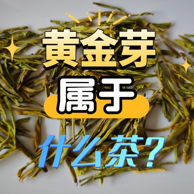 黄金芽属于什么茶？想要喝买哪些品牌比较不错？