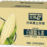 玉米的千面传奇：北纬47°如何让一颗谷物成为味觉的万花筒