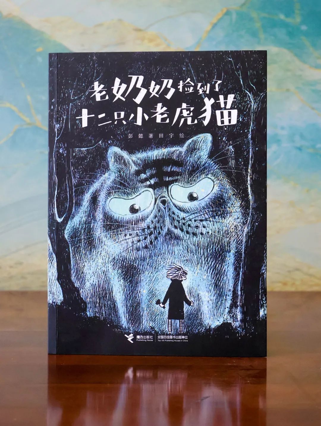 6老奶奶捡到了十二只小老虎猫.jpg