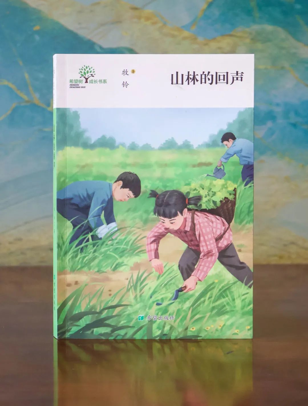 图片