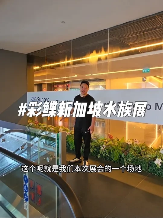 彩鲽新加坡水族展即将开始 本次新加坡展会时间为6.6-6.8日，抖音直播间同步给大家进行直播，420 600展会期间继续发售！#彩鲽水族 #养鱼日记 #水族