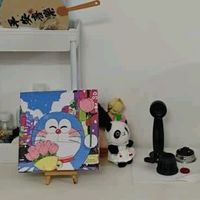 小熊咖啡机：美式家用滴漏式，小巧迷你，煮茶泡咖一应俱全