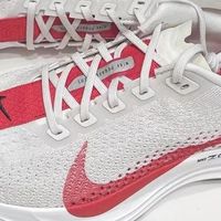 Nike Pegasus Plus：出道即巅峰的速度机器