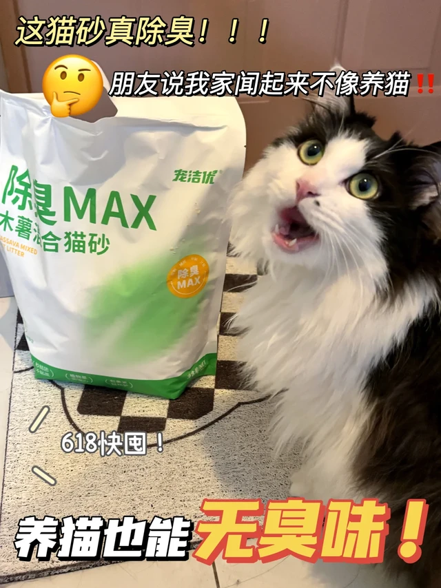 夏天就得是除臭猫砂！20平小房间没味了~