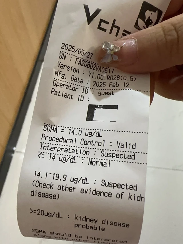 吃了一个月零食冻干，肾指标临界了