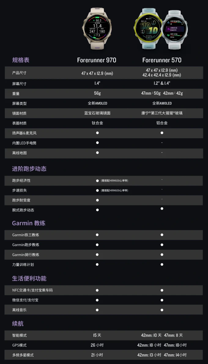 佳明仪表