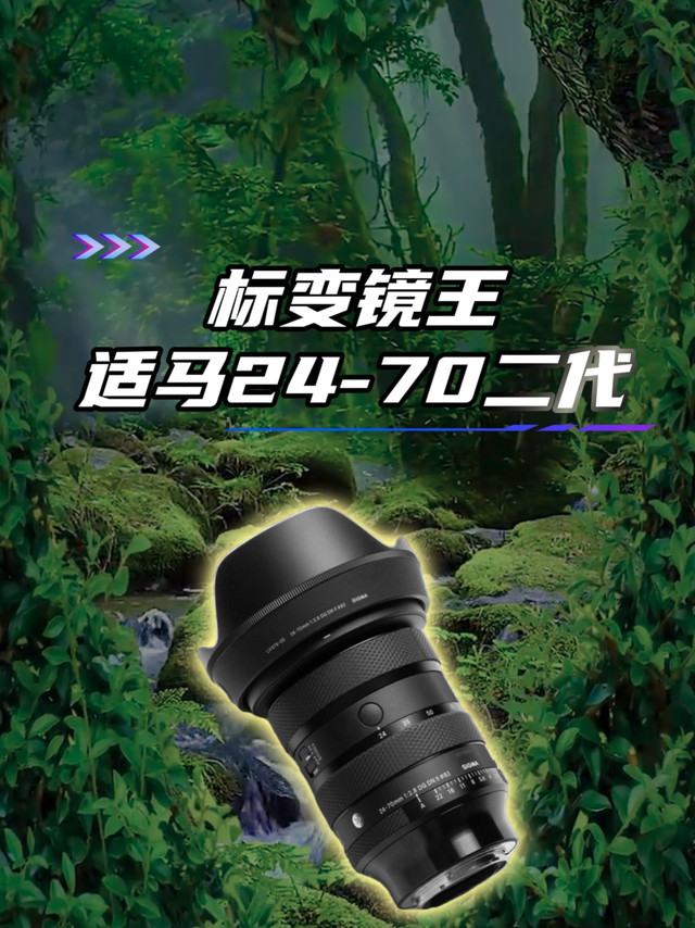 标准变焦镜王适马24-70F2.8二代