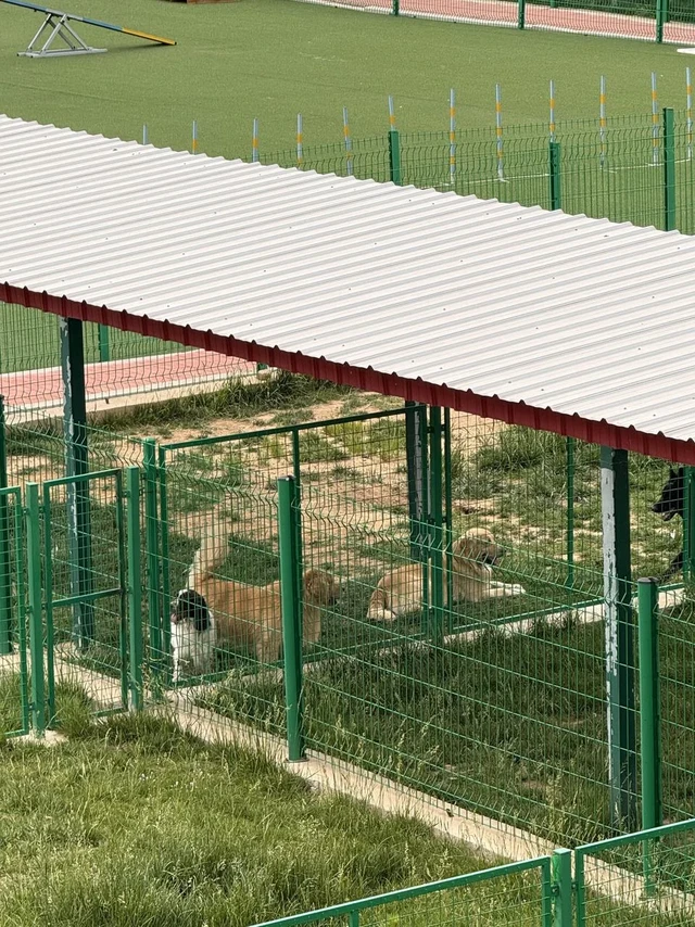 麦富迪这工厂…原来我喂的猫粮是这么来的！