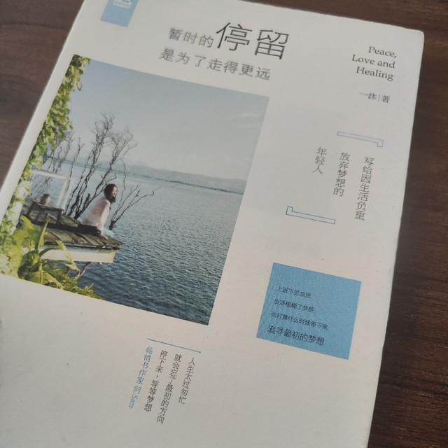  《暂时的停留是为了走的更远》书评：在暂停中寻找生命的答案