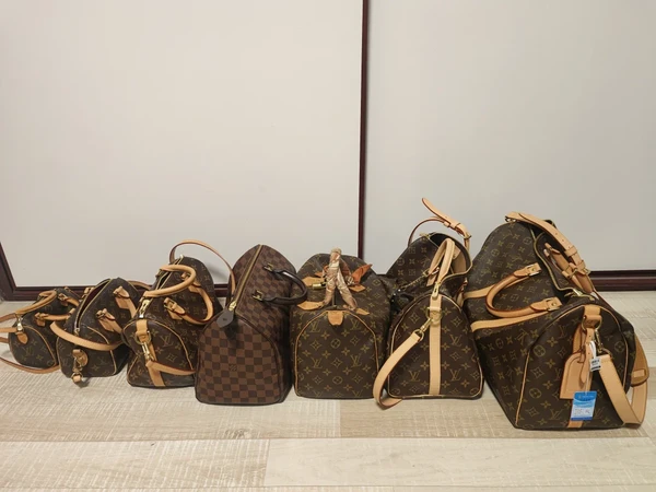 LV speedy老花爱好者