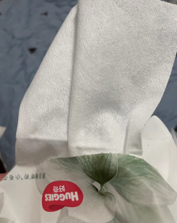 超高端天然小森林婴儿柔巾