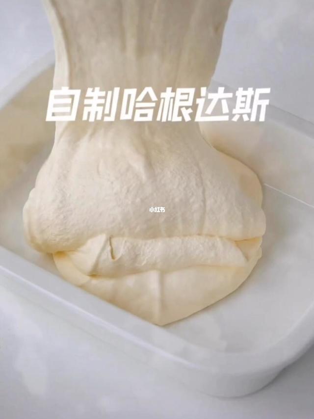 自制哈根达斯，简单易学，好吃极了赶紧收藏