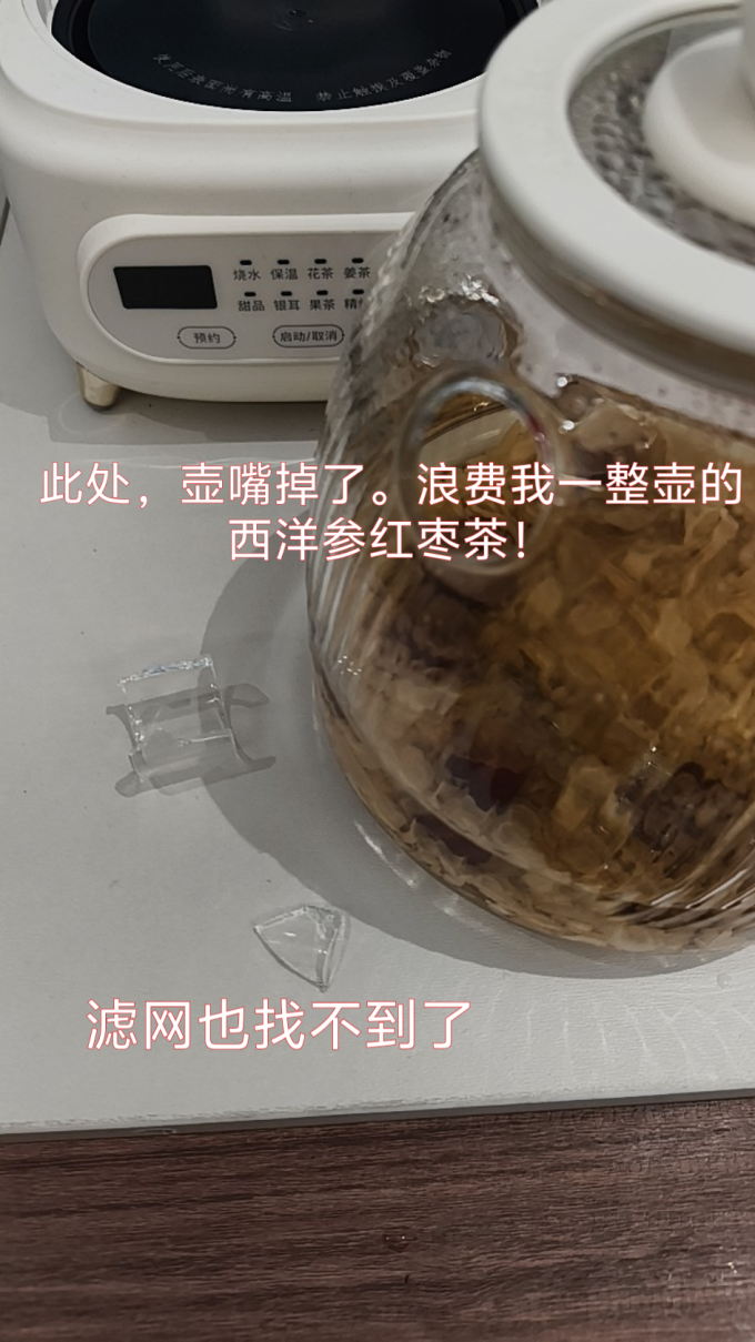 九阳养生壶