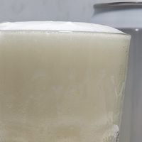 2元钱一罐的11度雪花白酿纯啤，满足我对啤酒的一切幻想，好喝。