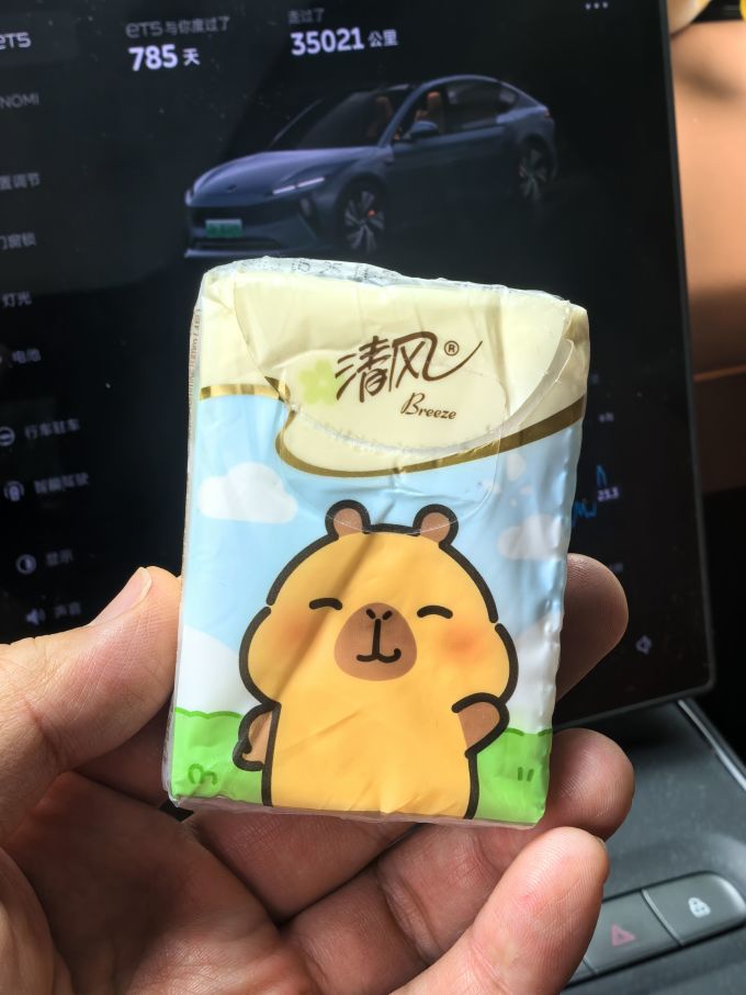 清风纸品湿巾