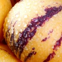 人参果上市，我的健康生活加油站