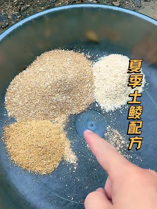 蓝鲫X5这样搭配主攻夏季土鲮不开口，钓土鲮钓到手发软 #土鲮饵料 #鲮鱼饵料 #钓土鲮 #户外钓鱼 #爆护饵料