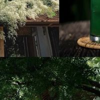 平嵌设计，老板油烟机新潮流！