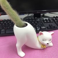 被这盆九尾狐萌到心巴上！