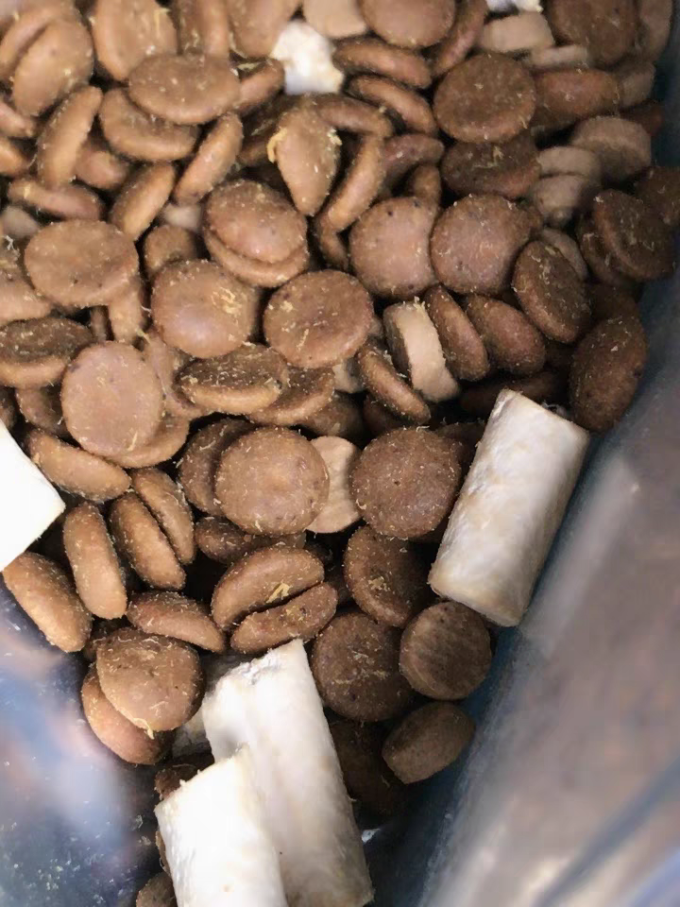 耐威克猫咪干粮