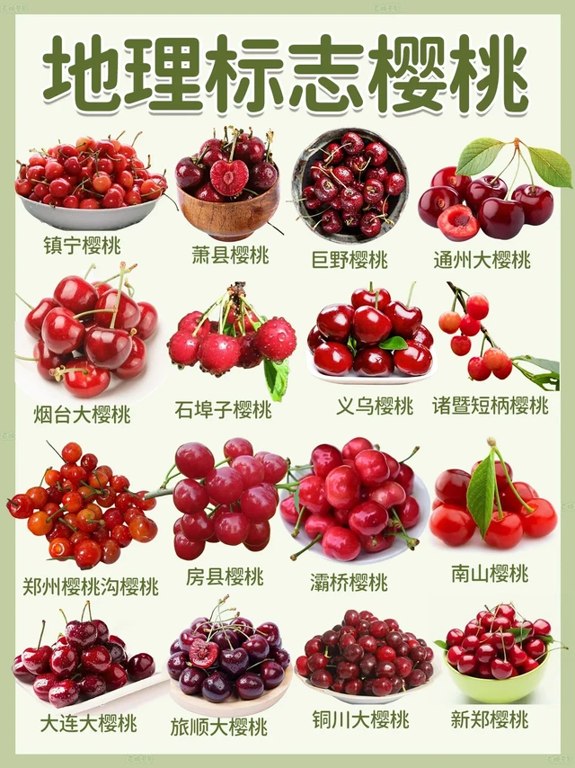 宝藏樱桃地图大公开！这些地理标志品种快囤