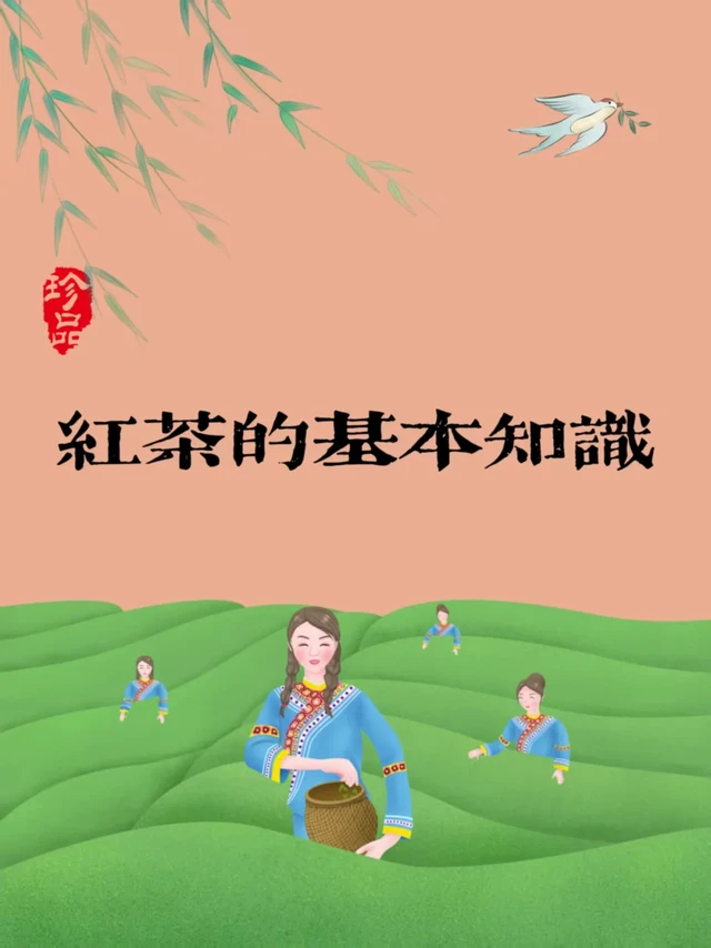 🍵红茶知识大揭秘 | 带你走进红茶世界