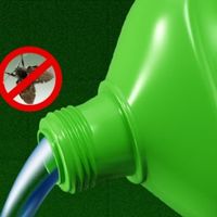 Dr.Riley德国下水道杀虫剂，彻底告别小飞虫困扰