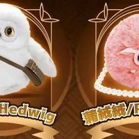 领养《哈利·波特》里的神奇动物？没认出来的不准叫哈迷！