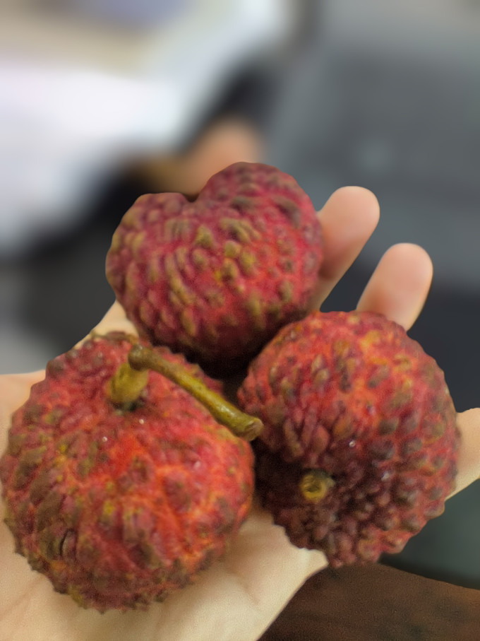水果蔬菜其他水果