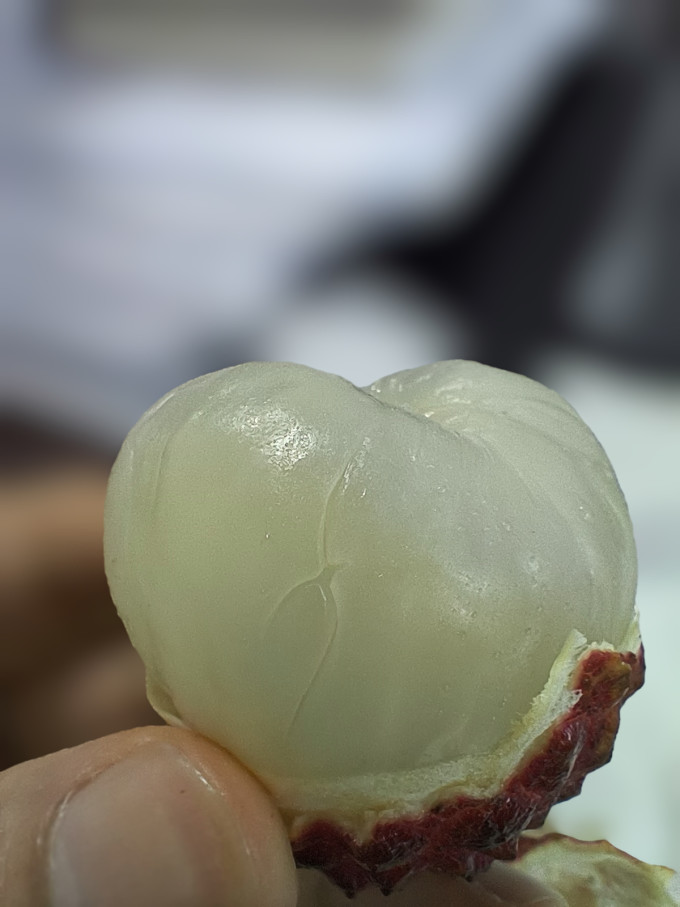 水果蔬菜其他水果