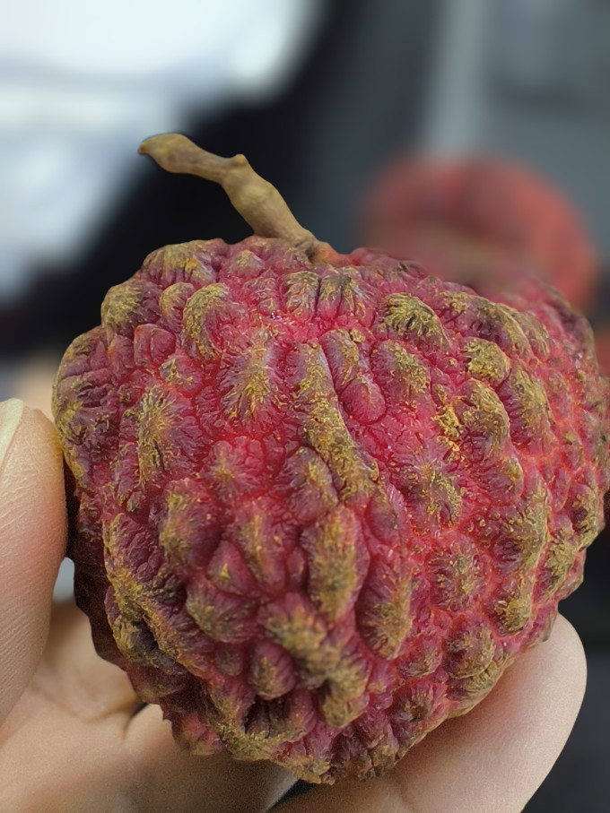 水果蔬菜其他水果
