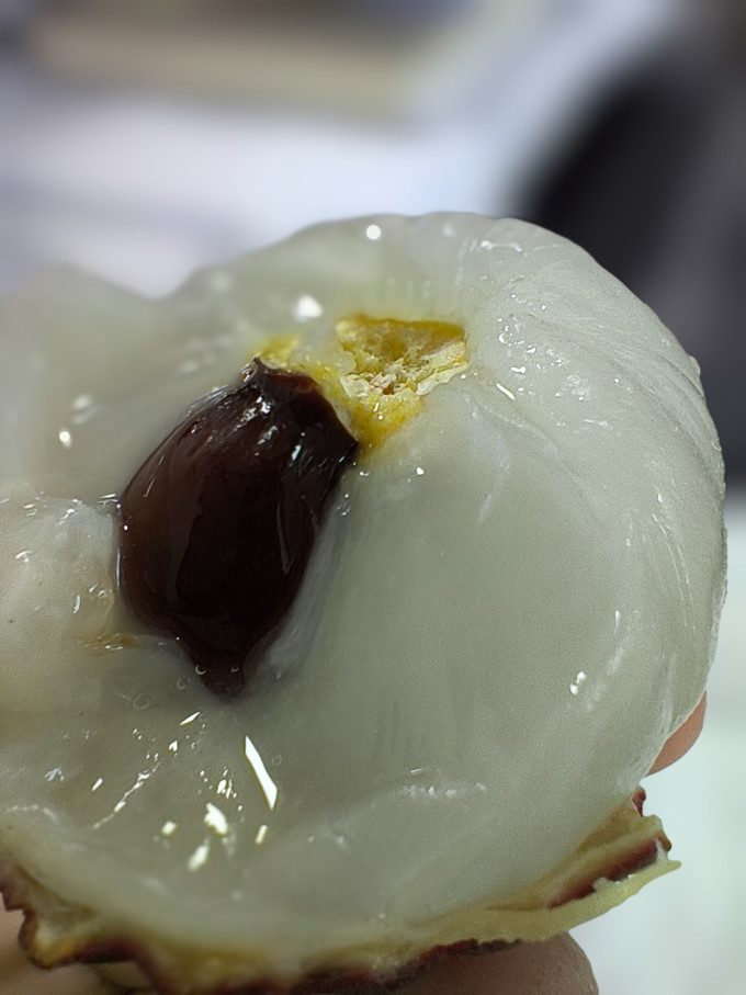 水果蔬菜其他水果
