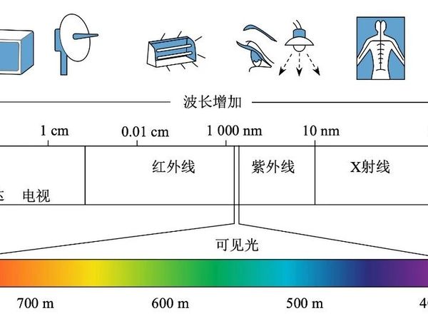 软硬|为什么你(不)需要无线设备