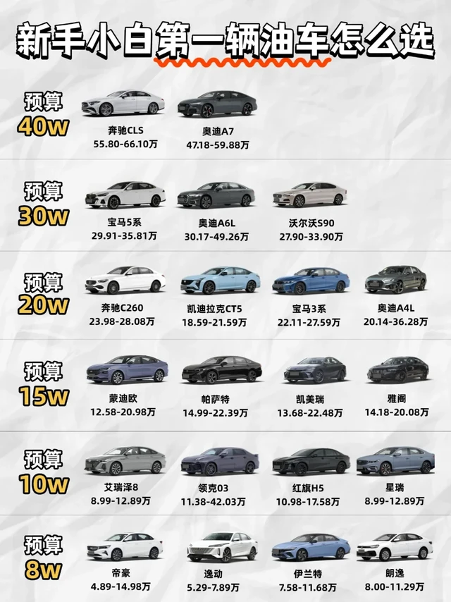 8w到40w+油车，闭眼买不踩雷款