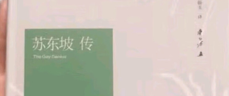 从烟火到诗意：遇见真人东坡