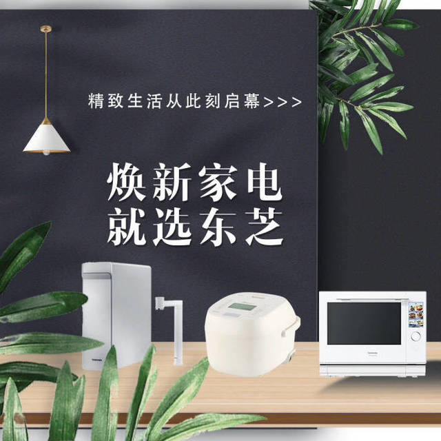焕新家电，就选东芝
