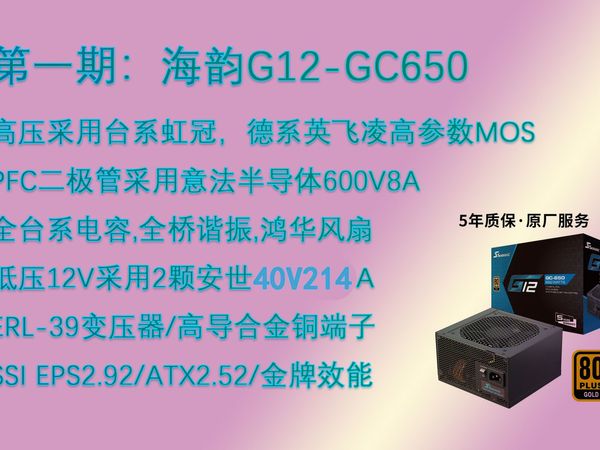 [带你开-商业版]第一期：海韵G12 650W简览，只要用料不滑坡，办法总比困难多。