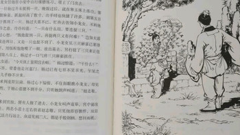 【京东定制刷边版】《神雕侠侣》典藏本：金庸武侠的极致收藏🎉
