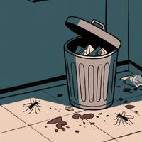 夏日防蚊大作战，你准备好了吗？