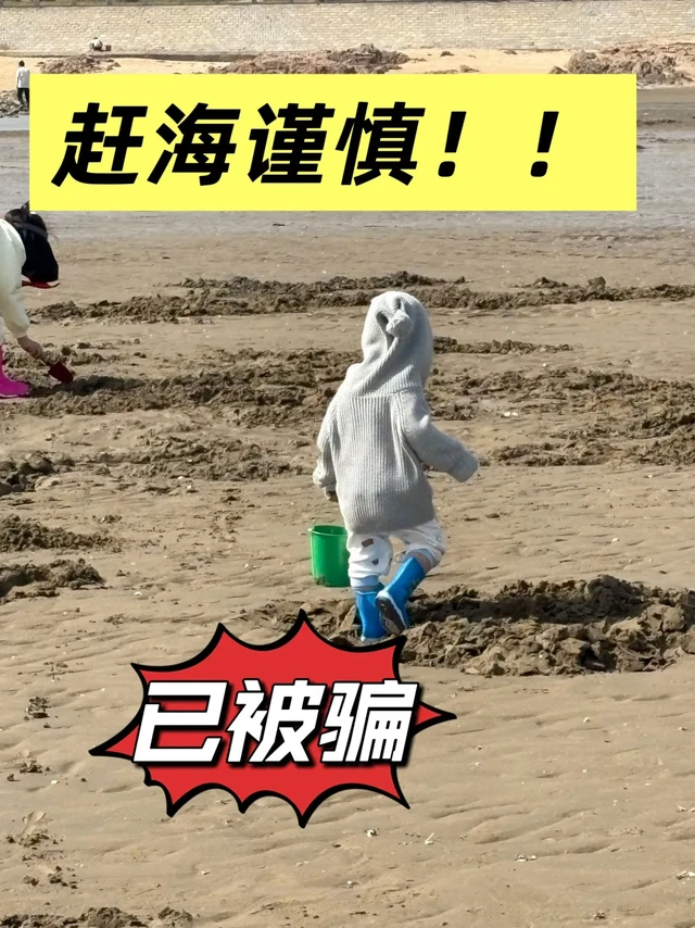 内陆朋友赶海一定注意！来青岛不要被骗了