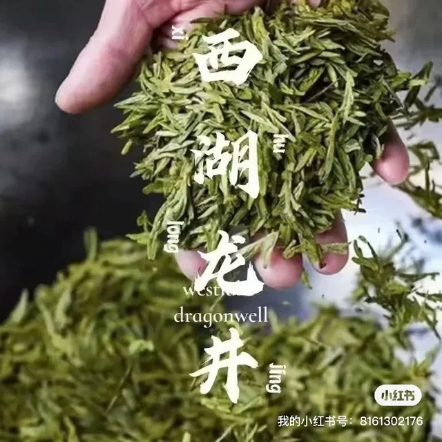 龙井43和群体种 到底哪个好喝？
