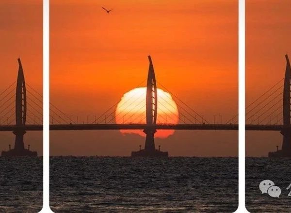 运动与思维、情绪
