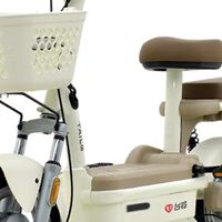 通勤新宠！台铃小果粒-G使用体验