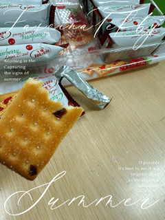 京东专区低价蔓越莓果干饼干