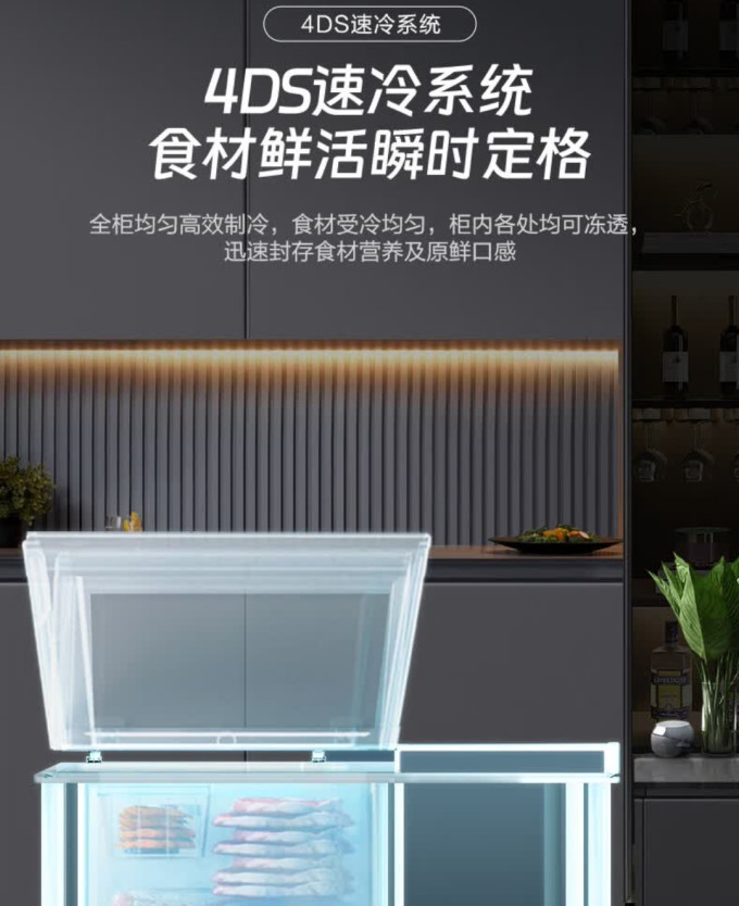 容声冰柜