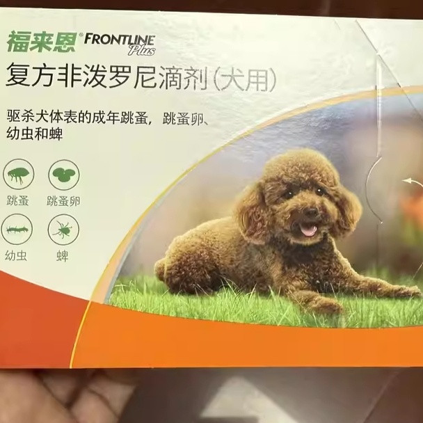 定期给宠物驱虫是关键，为狗狗提供全面的体外驱虫保护。