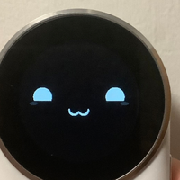 75元的翻译机太离谱了，任装app，跟手机没什么两样