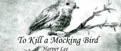 《杀死一只知更鸟》:每个人心中都应该守护这样一种知更鸟一一一善良，纯真和无辜