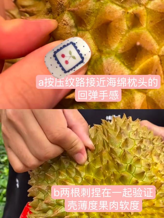 佳沃榴莲